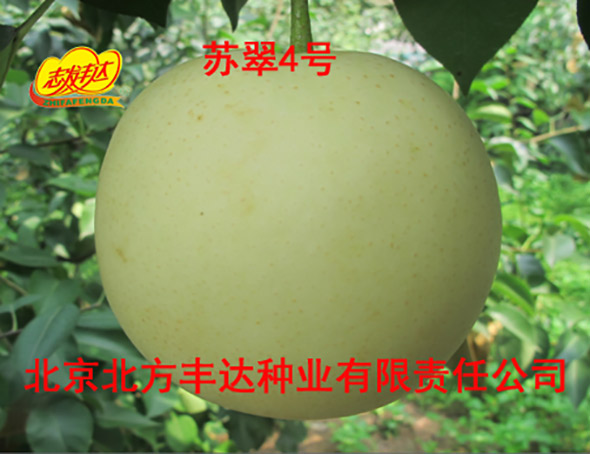 �������������ҵ���޹�˾